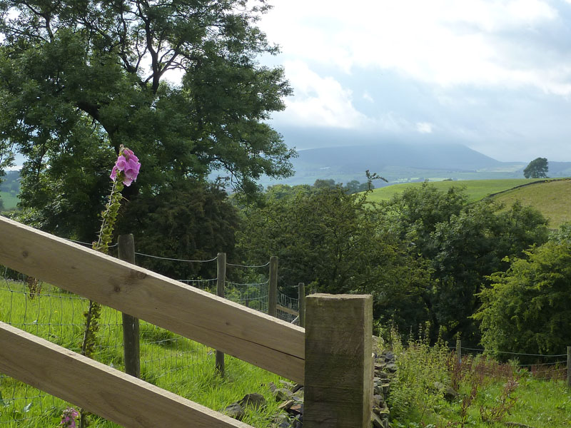 Pendle Hill